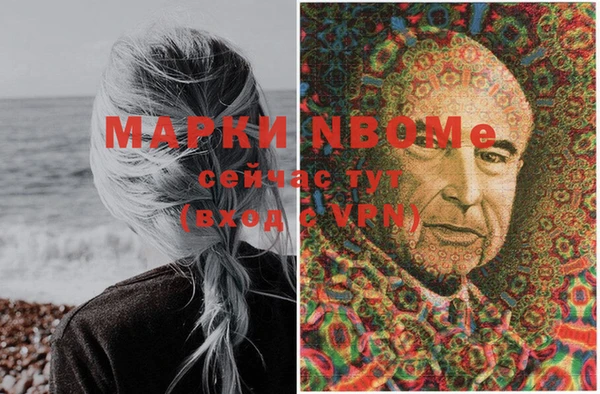 эйфоретик Баксан