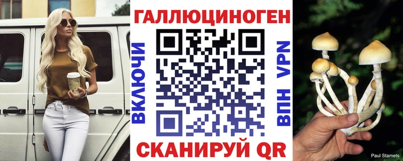 KRAKEN как зайти  Чудово  Псилоцибиновые грибы Magic Shrooms 